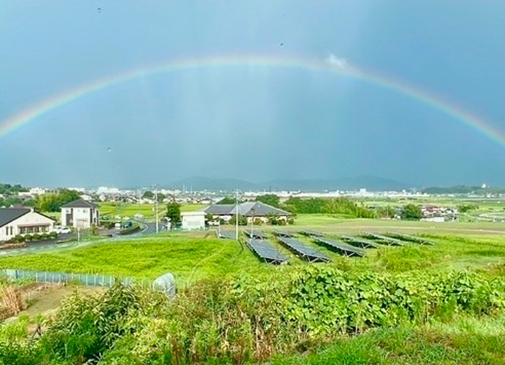 絶景とハーブティーで心ほどける時間