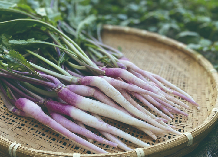 伊賀の伝統野菜・日野菜のぬか漬け