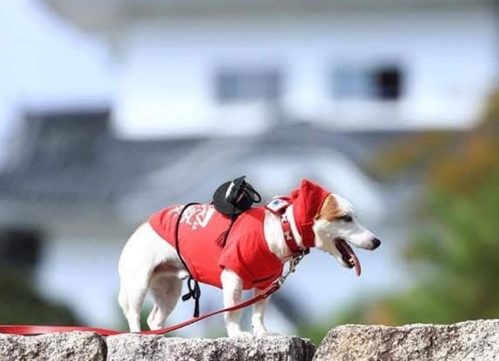 専属カメラマンが同行撮影